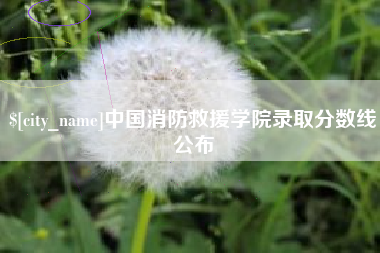 昌都中国消防救援学院录取分数线公布