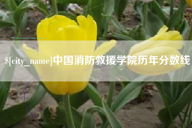 昌都中国消防救援学院历年分数线