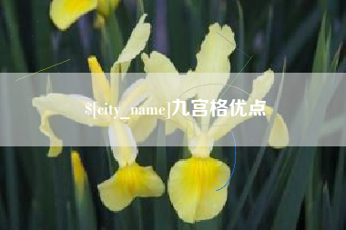 昌都九宫格优点