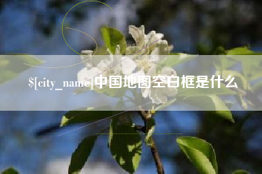 昌都中国地图空白框是什么
