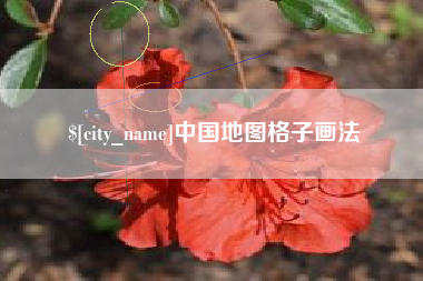 昌都中国地图格子画法