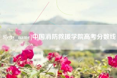 昌都中国消防救援学院高考分数线