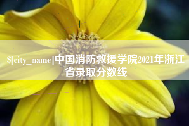 昌都中国消防救援学院2021年浙江省录取分数线