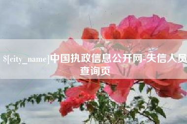 昌都中国执政信息公开网-失信人员查询页