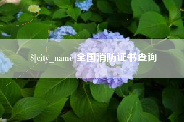 昌都全国消防证书查询