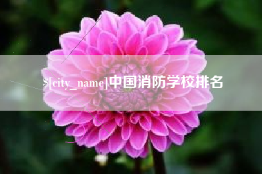 昌都中国消防学校排名