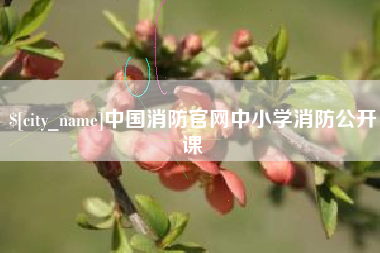 昌都中国消防官网中小学消防公开课