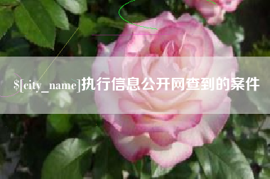 昌都执行信息公开网查到的案件