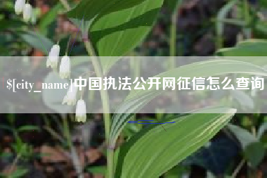 昌都中国执法公开网征信怎么查询