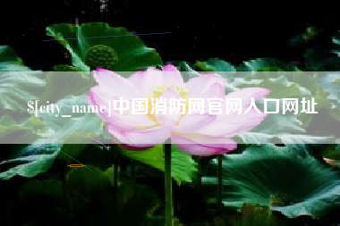 昌都中国消防网官网入口网址