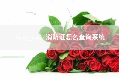 昌都消防证怎么查询系统