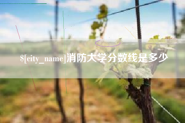 昌都消防大学分数线是多少