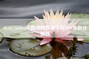 昌都中国消防救援学院2019录取分数线