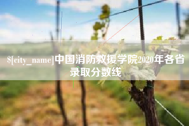 昌都中国消防救援学院2020年各省录取分数线