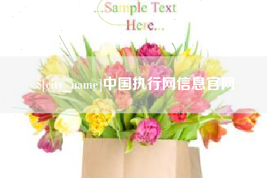 昌都中国执行网信息官网