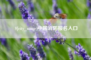 昌都中国消防报名入口