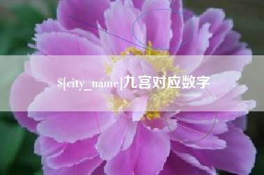 昌都九宫对应数字