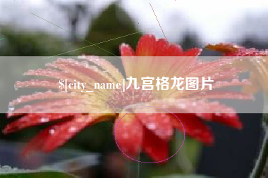 昌都九宫格龙图片