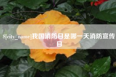 昌都我国消防日是哪一天消防宣传日