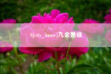 昌都九金是谁