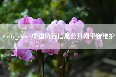 昌都中国执行信息公开网平台维护