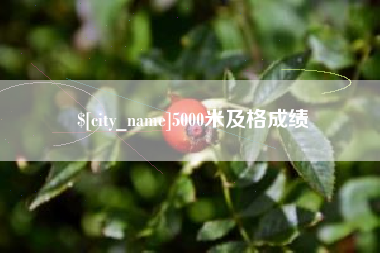昌都5000米及格成绩