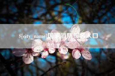昌都国家消防报名入口