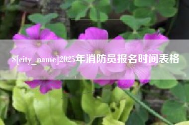 昌都2025年消防员报名时间表格