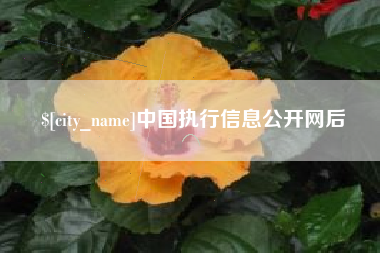 昌都中国执行信息公开网后