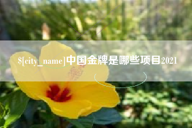 昌都中国金牌是哪些项目2021