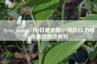 昌都11月9日是全国119消防日,为积极推进修改病句