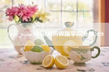 昌都中国消防救援学院分数2020