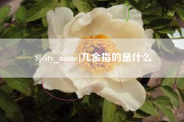 昌都九金指的是什么