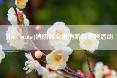 昌都消防日全国消防日主题活动