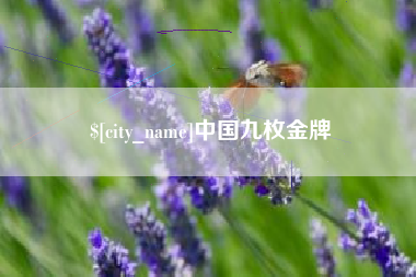 昌都中国九枚金牌