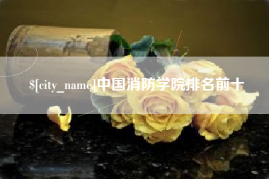 昌都中国消防学院排名前十