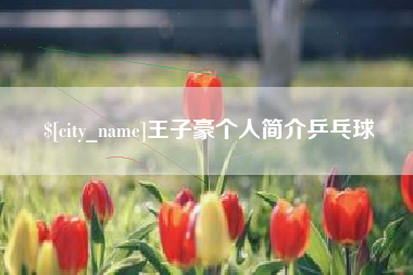 昌都王子豪个人简介乒乓球