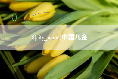 昌都中国九金