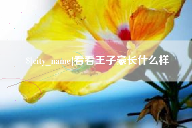 昌都看看王子豪长什么样