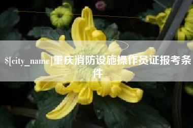 昌都重庆消防设施操作员证报考条件