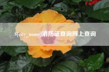 昌都消防证查询网上查询