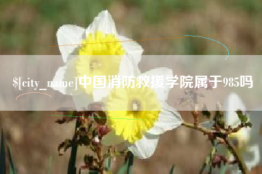 昌都中国消防救援学院属于985吗