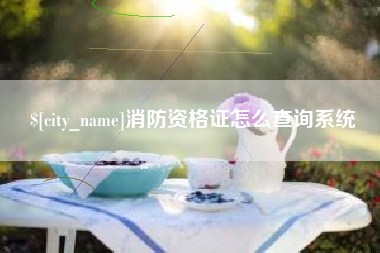 昌都消防资格证怎么查询系统