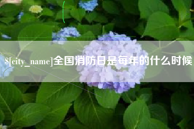 昌都全国消防日是每年的什么时候