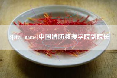 昌都中国消防救援学院副院长