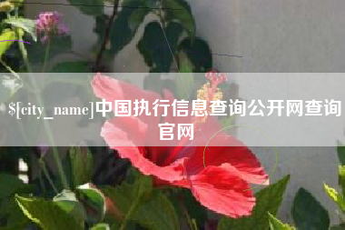 昌都中国执行信息查询公开网查询官网