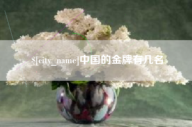 昌都中国的金牌有几名