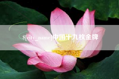 昌都中国十九枚金牌