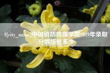 昌都中国消防救援学院2019年录取分数线是多少