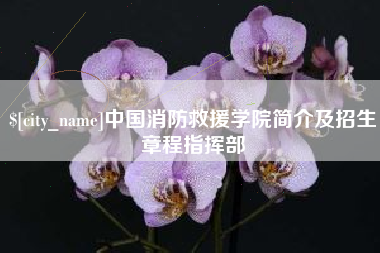 昌都中国消防救援学院简介及招生章程指挥部
